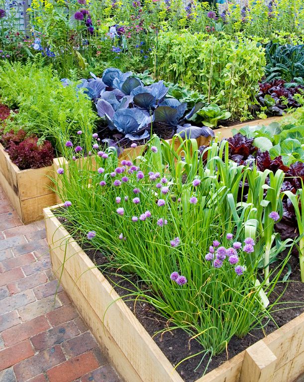 Бордюры для клумб: 17 способов добавить эстетики садовому пространству