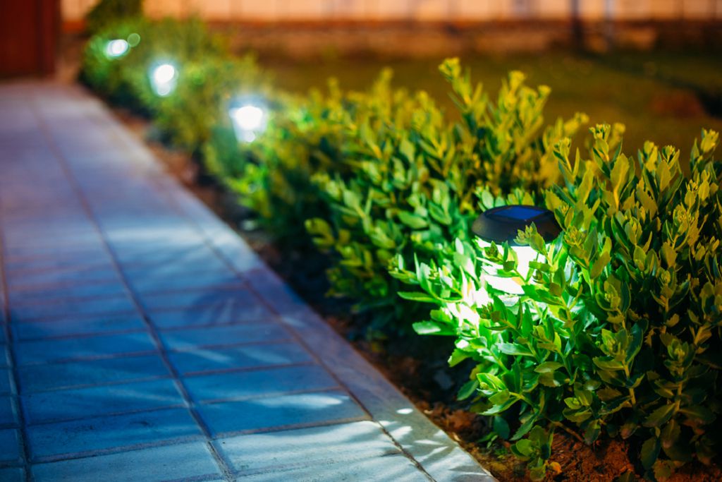Освещение садовых дорожек: фото идеи, требования, варианты подсветки